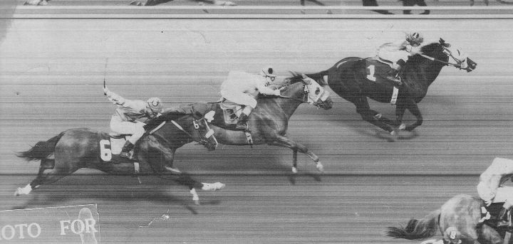 Cindy's Bar Jay (center) on the track